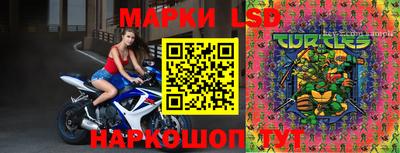 гидропоника Бузулук